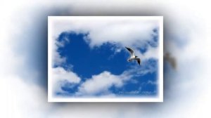 🌸 Хочешь любимая, я назову тебя облаком 🌸