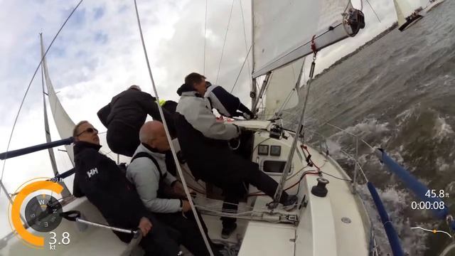 Hello Beluga! смотреть онлайн