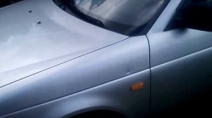 Хамелеон на фарах Приоры