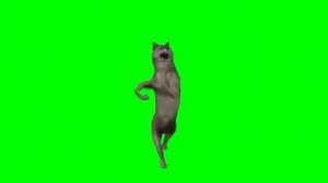 Коты на зелёном фоне для комментатора котика
