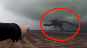 Динозавры в реальной жизни