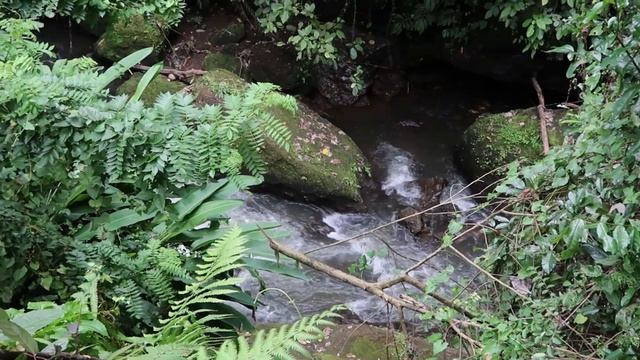 BALI ON A BUDGET - WHAT TO DO IN UBUD PART 1 - Vlog