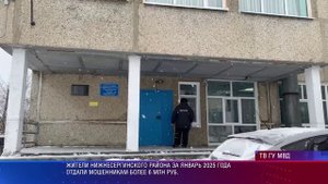 Нижние Серги профмошенничества