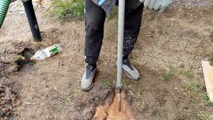 Абиссинка на песчаннике с водоносом 30см и дебетом 1,8 куба