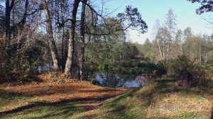 Белобережский маршрут, Белые Берега