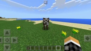 клип кожаные штаны- фикс