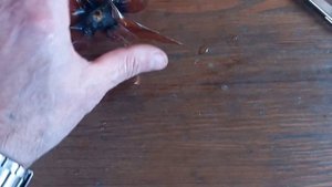 ВЕТРЯК ИЗ ПЛАСТИКОВОЙ БУТЫЛКИ! ОТПУГИВАТЕЛЬ ПТИЦ И КРОТОВ "СОКОЛ"