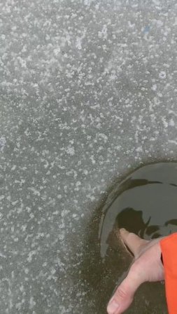 8741539661136111576