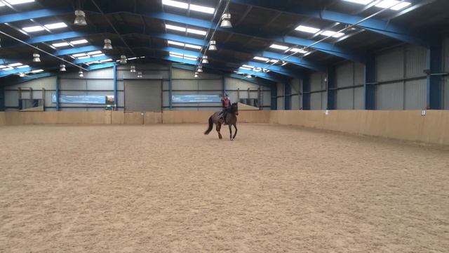 Galileo Figaro training @ Brooksby 01/01/2016 смотреть онлайн