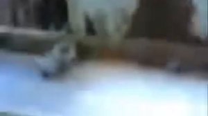 Вот это паук  Приколы