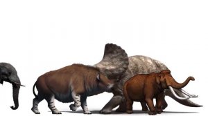 Triceratops vs Rhinos and Elephants Size Comparison