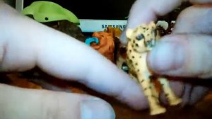 Моя коллекция диких кошек