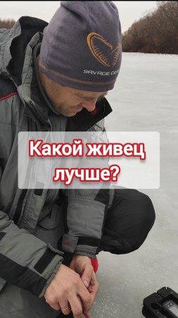 Какой живец лучше? #зимняярыбалка #рыбалка #рыбалкавидео #жерлицы #жерлицызимой #рыбалказимой #щука