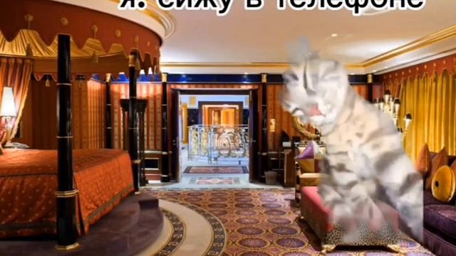 КОШАЧЬЯ ЖИЗНЬ СБОРНИК (ВСЕ СЕРИИ 1 СЕЗОНА)