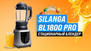 Обзор Silanga BL1800 PRO: Тесты стационарного блендера: насколько он хорош?