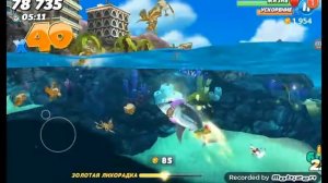 тупорылая акула прохождение hungry chark world