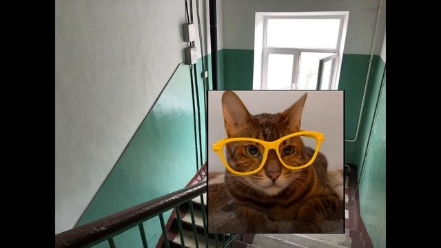 история Валерий Полосатиков [18+] [4К] [60 FPS]
