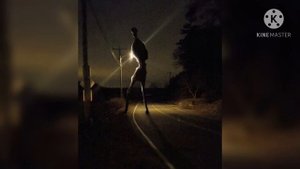 Armless creature ( Безрукое существо).  Trevor Henderson Universal.