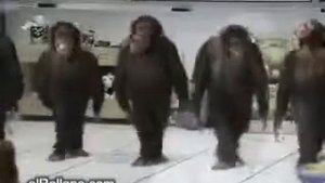 Обезьяны танцуют