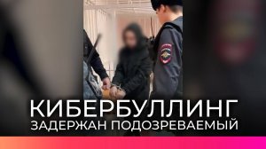 Жителя Новгородской области обвиняют в попытке доведения жительницы Уфы до самоубийства