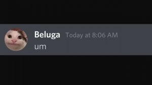 Beluga & MrHacker:Cats on Discord Meme's