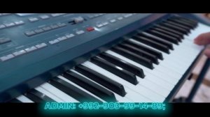 Навруз Алламуродов Кук Жигули | Navruz Allamurodov- Ko'k jiguli (cover Ozoda Nursaidova)