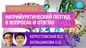 Доцент Берестовская В.С., профессор Большакова О.О.: Натрийуретический пептид в вопросах и ответах