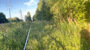 Жесть товарняка на заброшенной железнодорожной линии Московская область