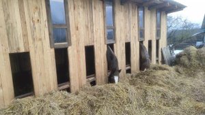 Конюшня своими руками