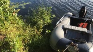 Рыбалка на р.Ветлуга, Боровская, Марий Эл, сентябрь 2022