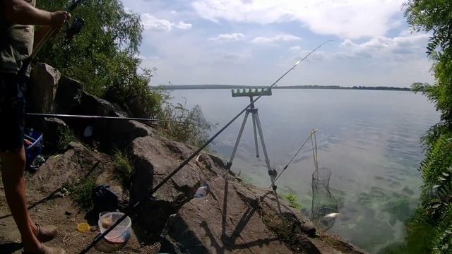 ФЛЕТ-ФІДЕРНА РИБОЛОВЛЯ НА ДНІПРІ. Кукурудза гарно працює на річці.#2022 #рыбалка#днепр