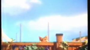 KiteKat Advert (1987)