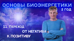 11. Переход от Негатива к Позитиву. "Основы Биоэнергетики 2 Год".
