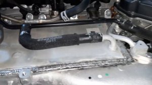 Silnik EA288 evo Oczyszczanie spalin