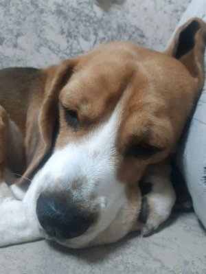 моему каналу исполнился 1 год