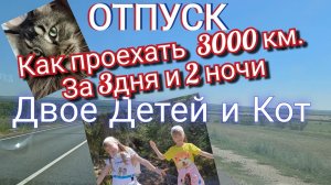 Отпуск. Как проехать 3000км. Двое детей и Кот. Какое расстояние самое большое проходили  Вы на авто?