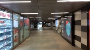 метро Пражская, Северный вход 12