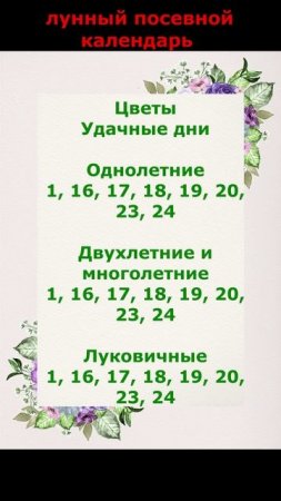 Лунный календарь Садовода и Огородника на 2025 год.