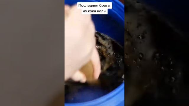 САМОГОН ИЗ КОЛЫ В КОНЦЕ ИЮЛЯ БУДЕТ В 8Й РАЗ смотреть онлайн