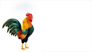Самцы, самки и потомство животных/Machos, hembras y crías de los animales/Offspring of animals