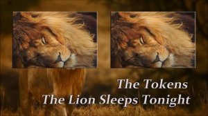 The Tokens / The Lion Sleeps Tonight