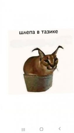 Шлёпа эдит:2 часть больше Шлёп,больше счастья!