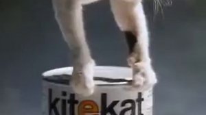 Kitekat | High performance, low budget | 1990