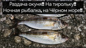 Ночная рыбалка зимой!! В Крыму на Чёрном море! В этот раз окунь оставил меня без наживки!