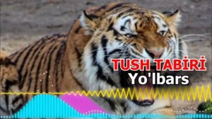 Tushda yo'lbars -  Тушда йулбарс - Yo'lbars bolasini tushida ko'rish