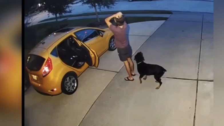 СИЛЬНЫЕ ПРИКОЛЫ #1. 12 минут смеха. Смешные видео. Лучшие ПРИКОЛЫ. Подборка приколов. смотреть онлайн