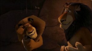 Мой Фуфик! Фраза из: Мадагаскар 2