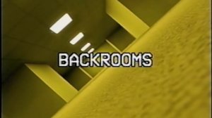 The Backrooms (Found Footage) [1 hour]