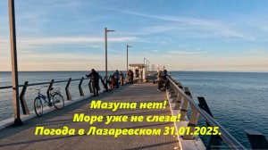 Мазута нет, но море уже не слеза! Погода в Лазаревском 31.01.2025. ЛАЗАРЕВСКОЕ СЕГОДНЯ