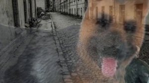 Мёртвая Москва 𓃡 Страшилка шляйх